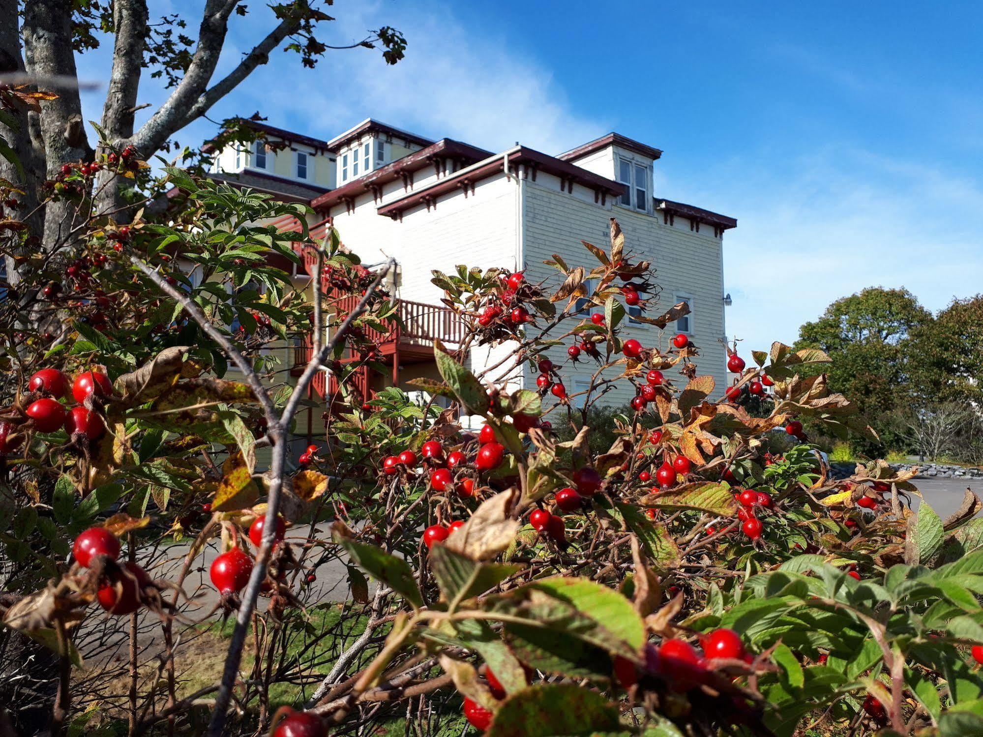 Homeport Historic B&B Saint John Luaran gambar
